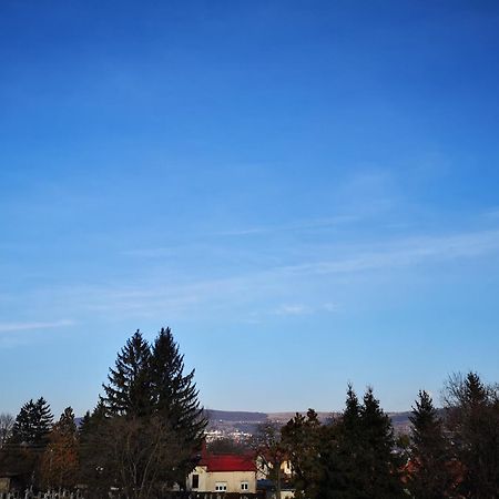 Villa-Hotel Escala Клуж-Напока Екстериор снимка