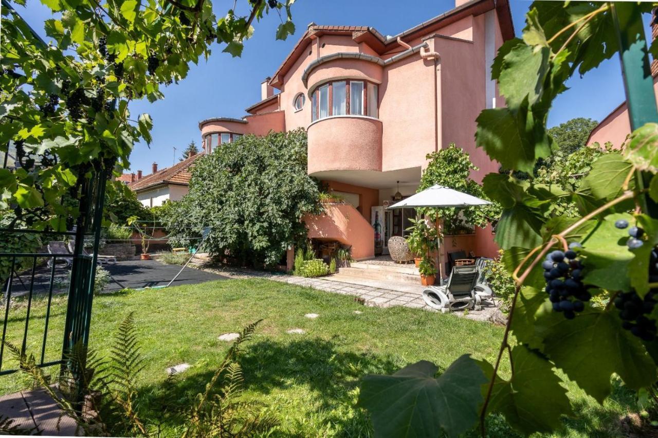 Villa-Hotel Escala Клуж-Напока Екстериор снимка